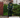 NAMES OF GOD SWEATS